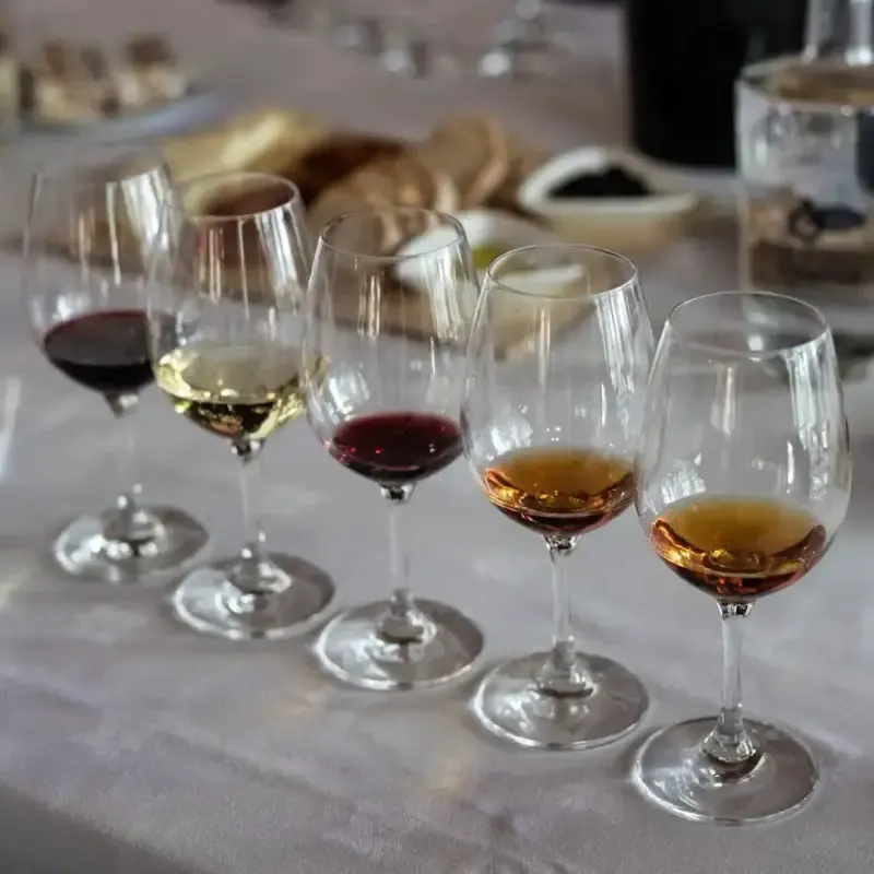 image 4 - Arrábida & Sesimbra Private Trip from Lisbon – Wine Tasting, Nature and Beaches