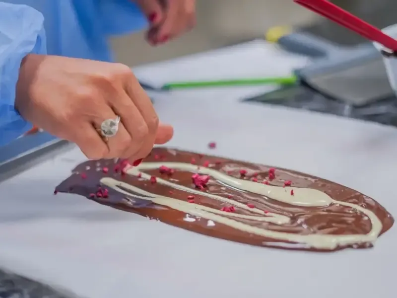 image 4 - The Chocolate Museum Entry Ticket at WOW