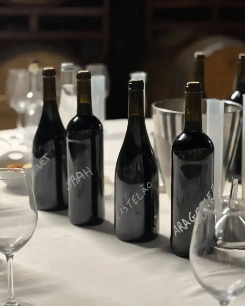 Arrábida & Sesimbra Private Trip from Lisbon – Wine Tasting, Nature and Beaches - 3