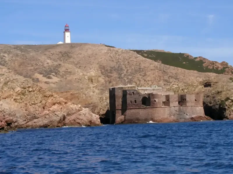 Double Snorkeling Trip in Berlengas, Peniche - 3