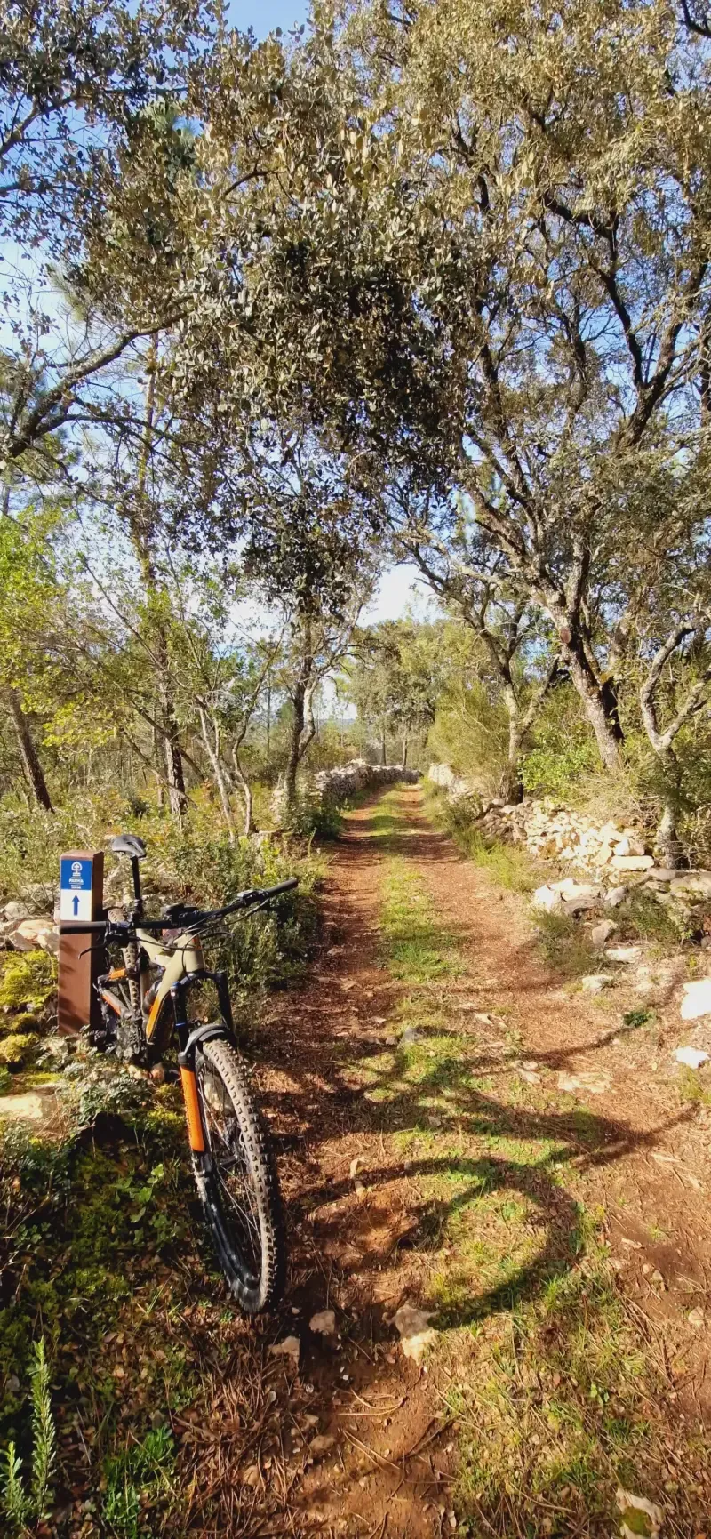 Passeio de E-Bike: Fátima e Pegadas Jurássicas Parque Natural da Serra de Aire - 3
