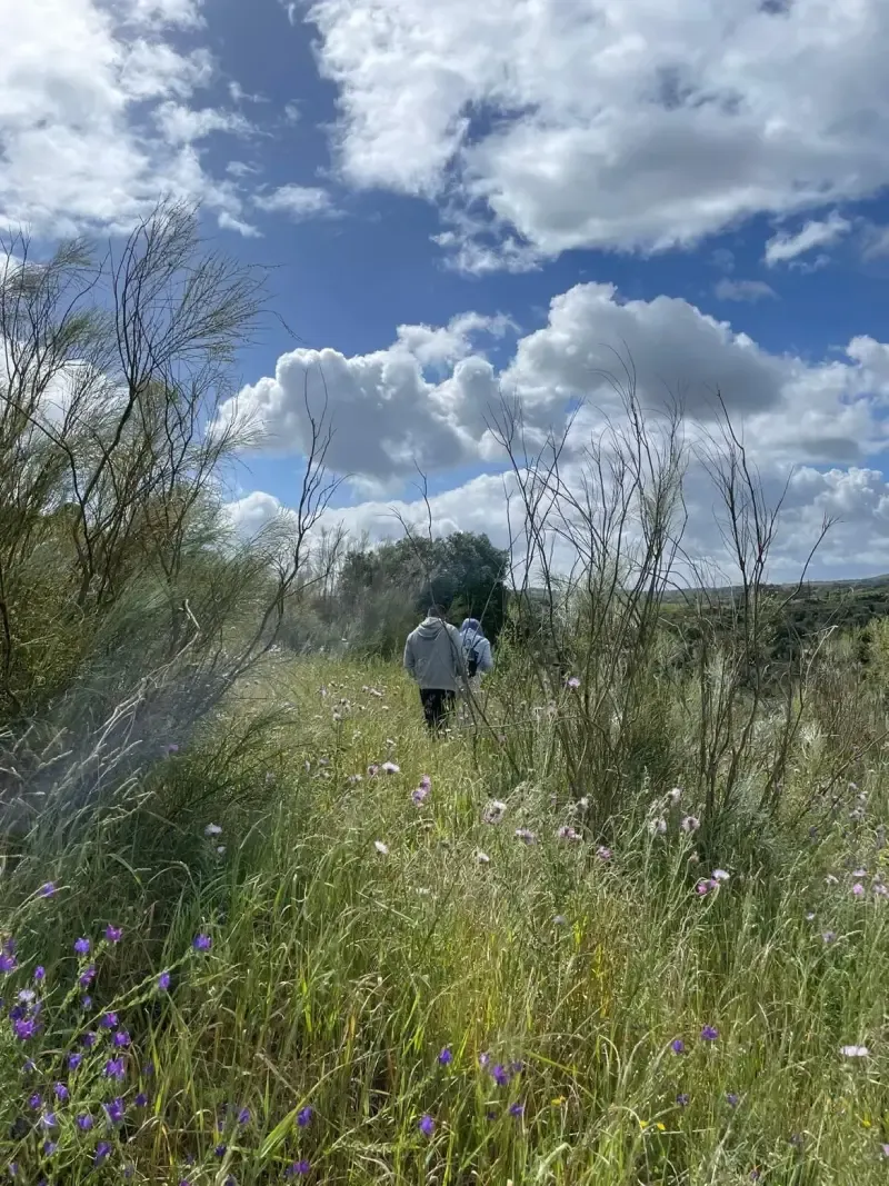 image 5 - Évora: Passeio de um dia em Montemor-o-Novo, Évora