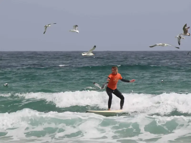 image 4 - Join Our Group Surf Lessons: Perfect for Beginners to Advanced Surfers!