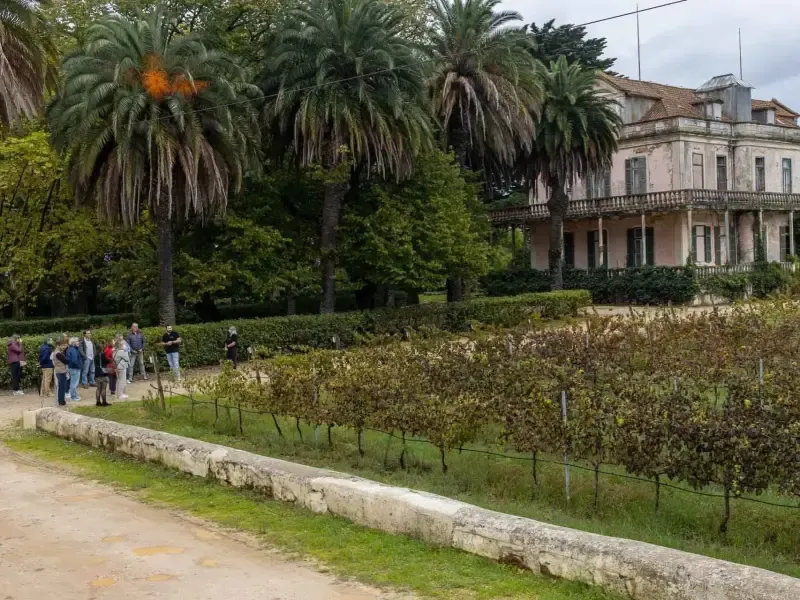 image 4 - Experimente el exquisito maridaje de vinos y quesos en Quinta São João Batista