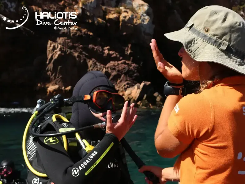 PADI Discover Scuba Diving nas Berlengas, Peniche - Main