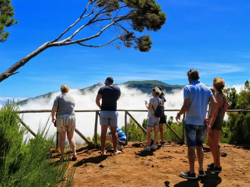 image 5 - Aventure-se pelo Pico Areeiro num passeio de 4x4 pela East Santana Tour.