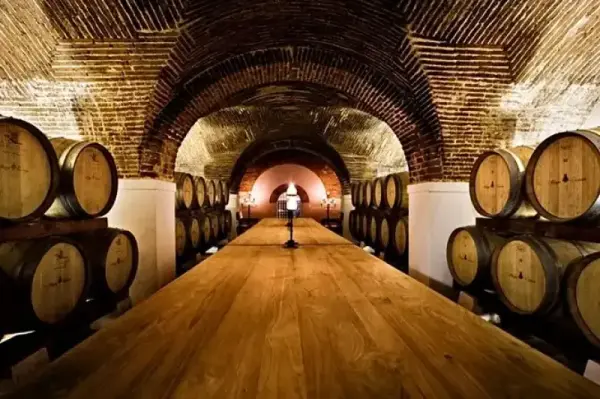 Tour privado de día completo del vino de Évora y Alentejo