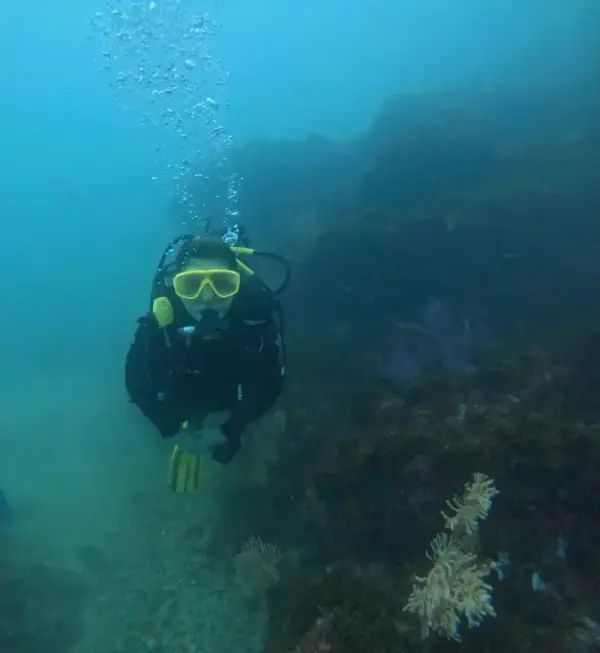 ¡Conviértete en buceador certificado de aguas abiertas: tu aventura submarina desde Albufeira!