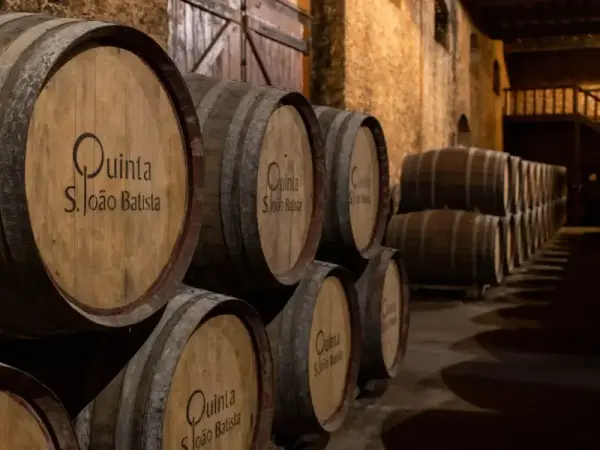 Experience Exquisite Wine & Cheese Pairing at Quinta São João Batista