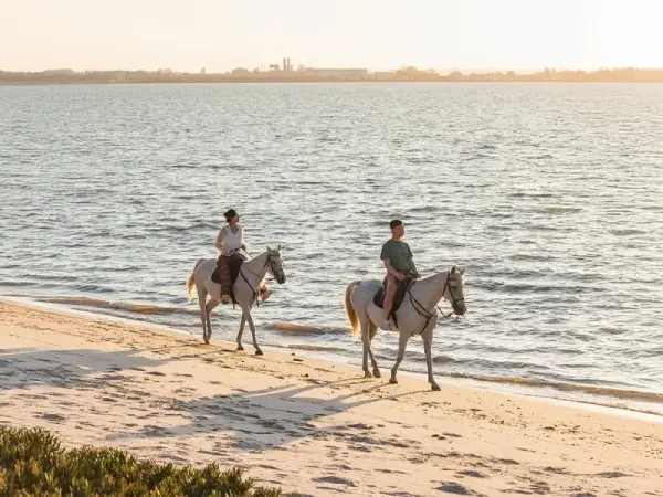 Disfrute de un paseo privado a caballo por la playa con degustación de tapas y obsequio de recuerdo.