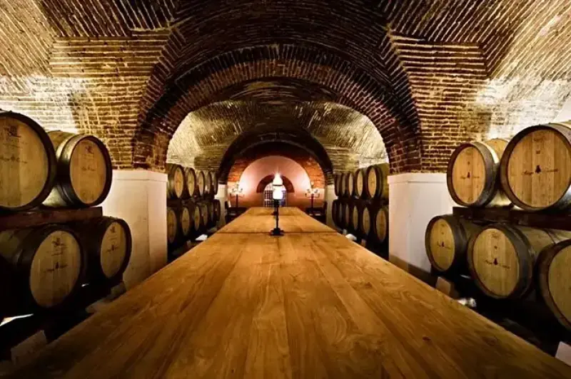 Tour Privado de Dia Inteiro Évora e Vinhos do Alentejo