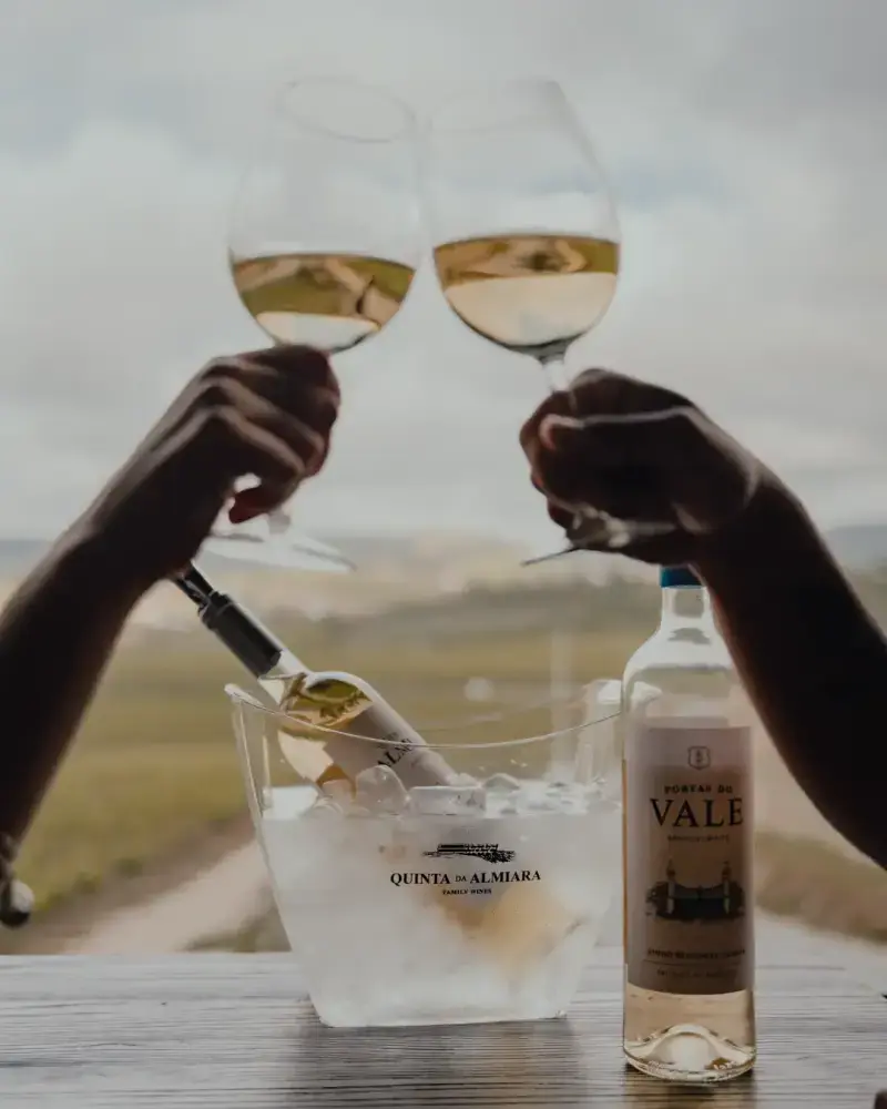 Descubra os melhores vinhos da Almiara: uma experiência de degustação exclusiva.