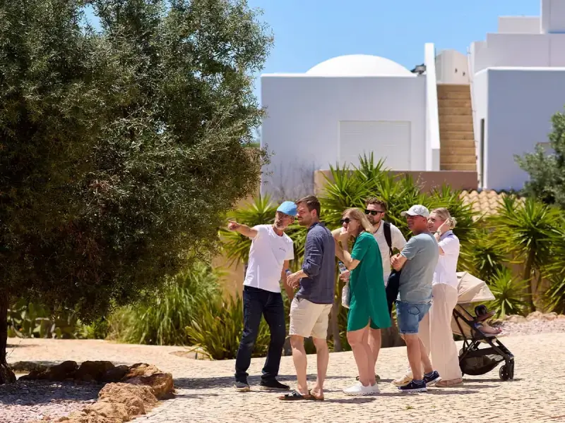 Algarve Vineyard Tour with Wine & Olive Oil Tasting at Quinta dos Sentidos