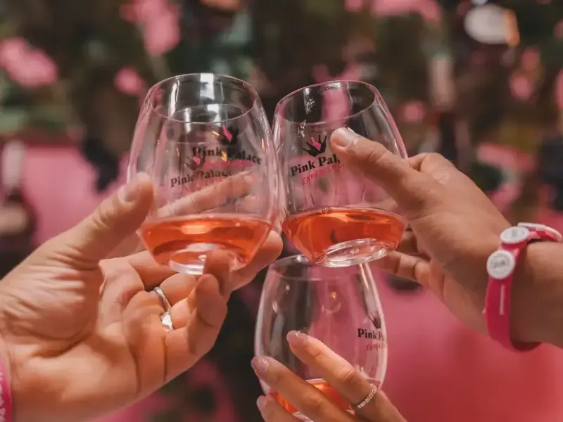 Pink Palace Entry Ticket & Tasting at WOW in Porto