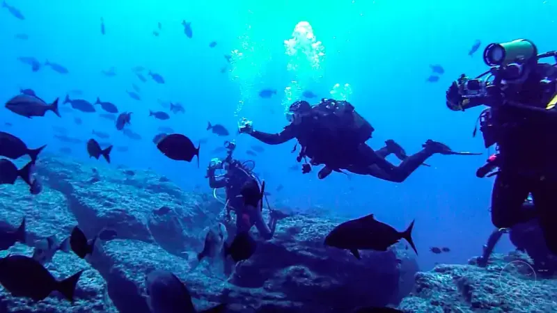 Mi primera inmersión de buceo en el océano desde la isla de Madeira.