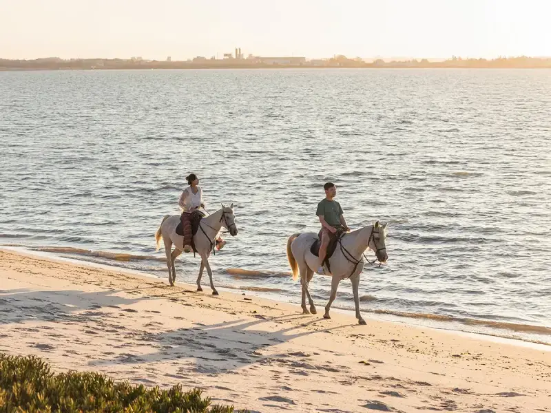 Desfrute de um passeio a cavalo privado na praia com degustação de tapas e uma lembrança especial.