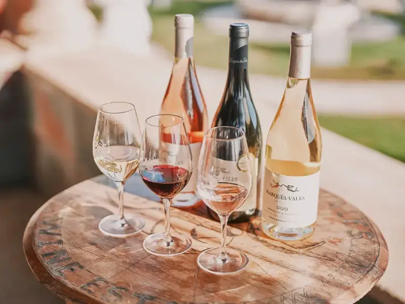 Premium "Gold" Wine Tasting & Cellar Tour in Lagoa (Algarve)