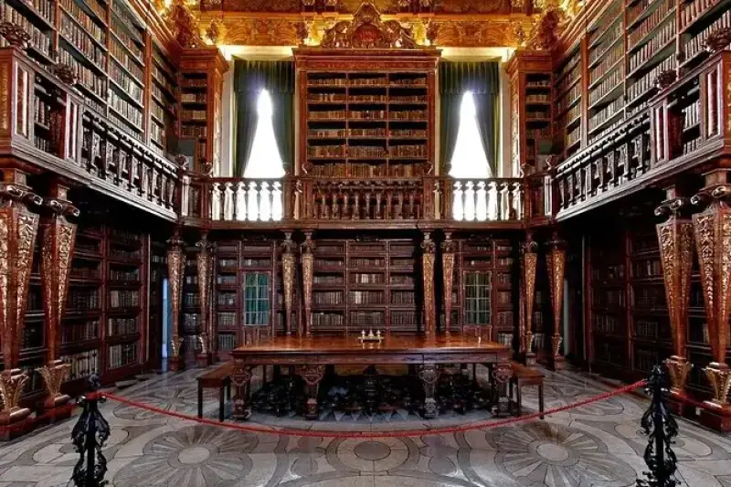 Excursão privada de dia inteiro de Lisboa a Tomar e Coimbra